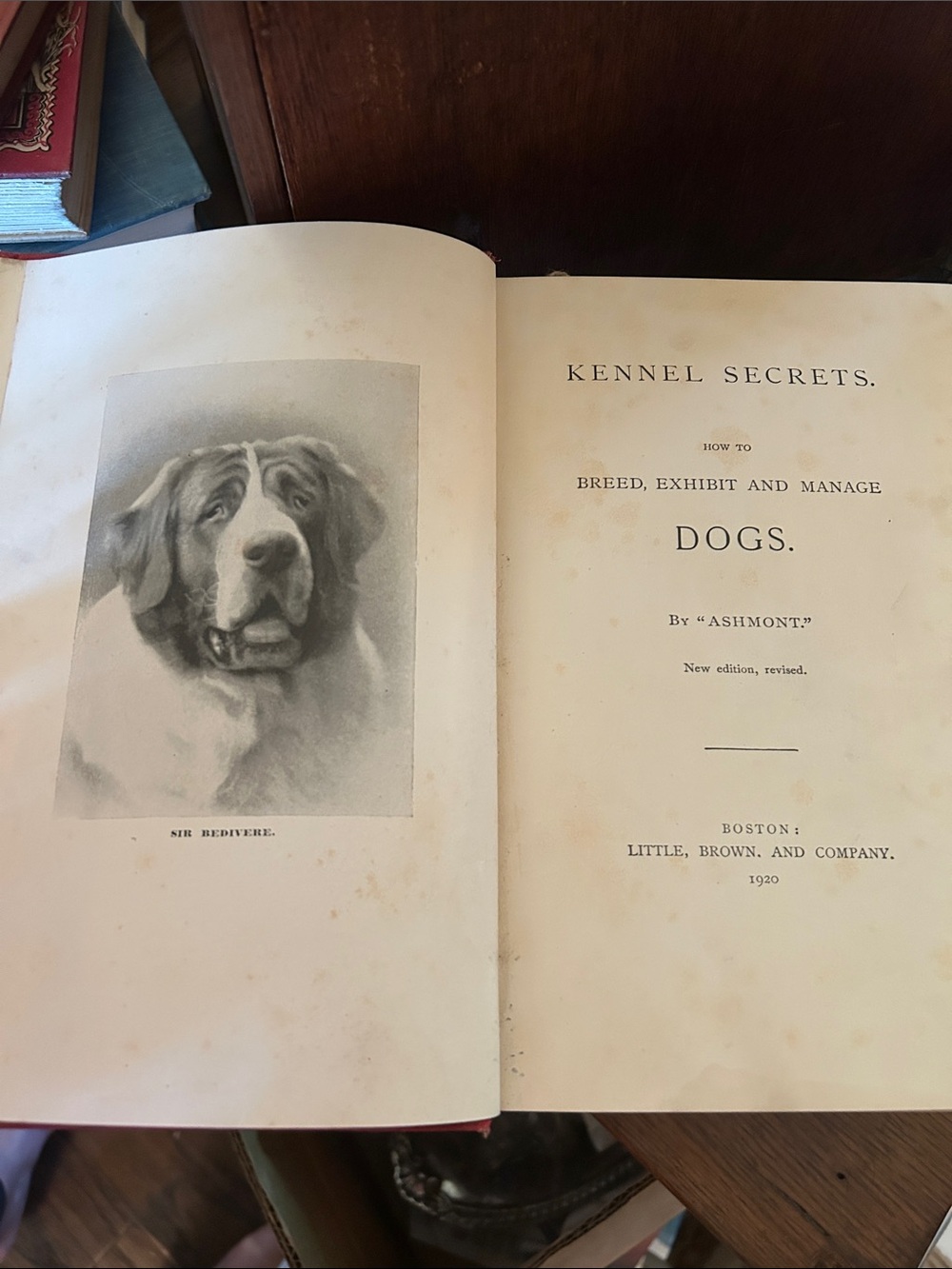 Antique Hardback “Kennel Secrets” by Ashmont - Rare Find